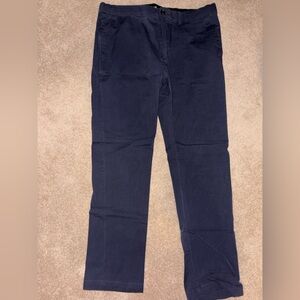 Goodfellow & Co Navy Blue Pant 38/34 slim